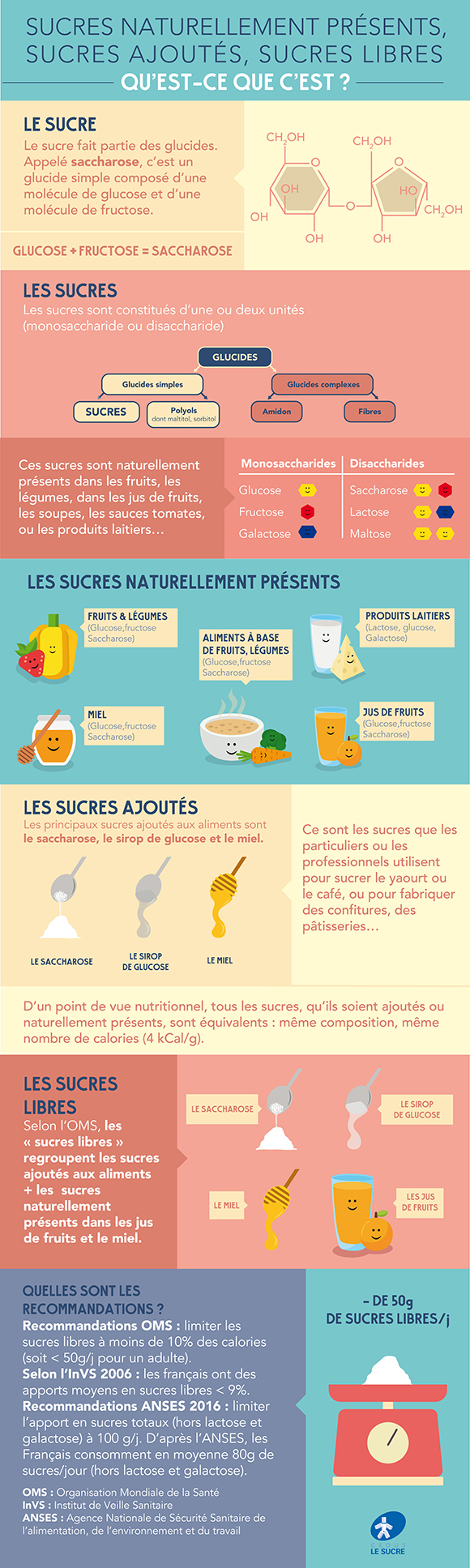 le-sucre-naturel-infographie