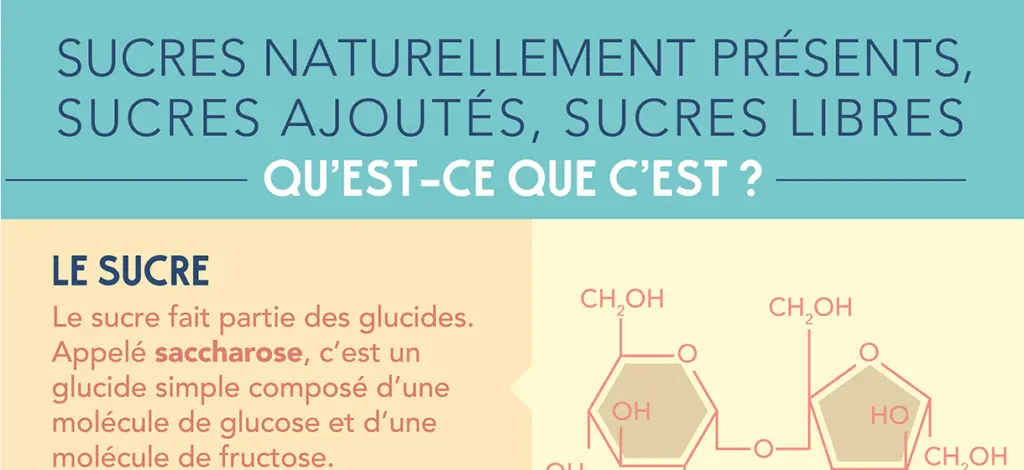 Comment se retrouver parmi tous les sucres?