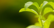 stevia-E960-glycosides-steviol-steviolglycosiden