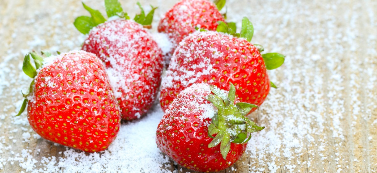 fraises sucres