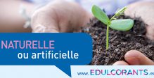 infographie-naturel-artificiel-1220