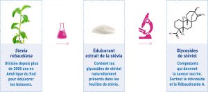 naturel-sucre-stevia