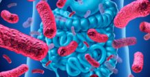 edulcorants-nuisent-pas-microbiote-intestinal